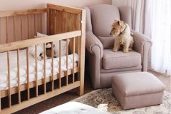 Nursery_Rocking_Chair_16_Mushroom-Everyone_is_excited_about_our_new_baby
